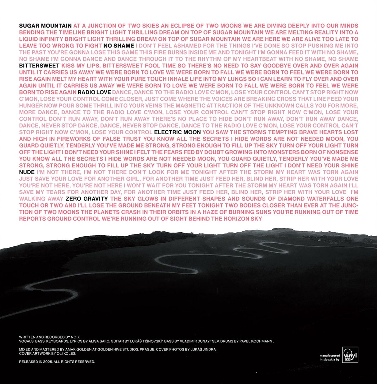 NOIX vinyl record cover artwork detail