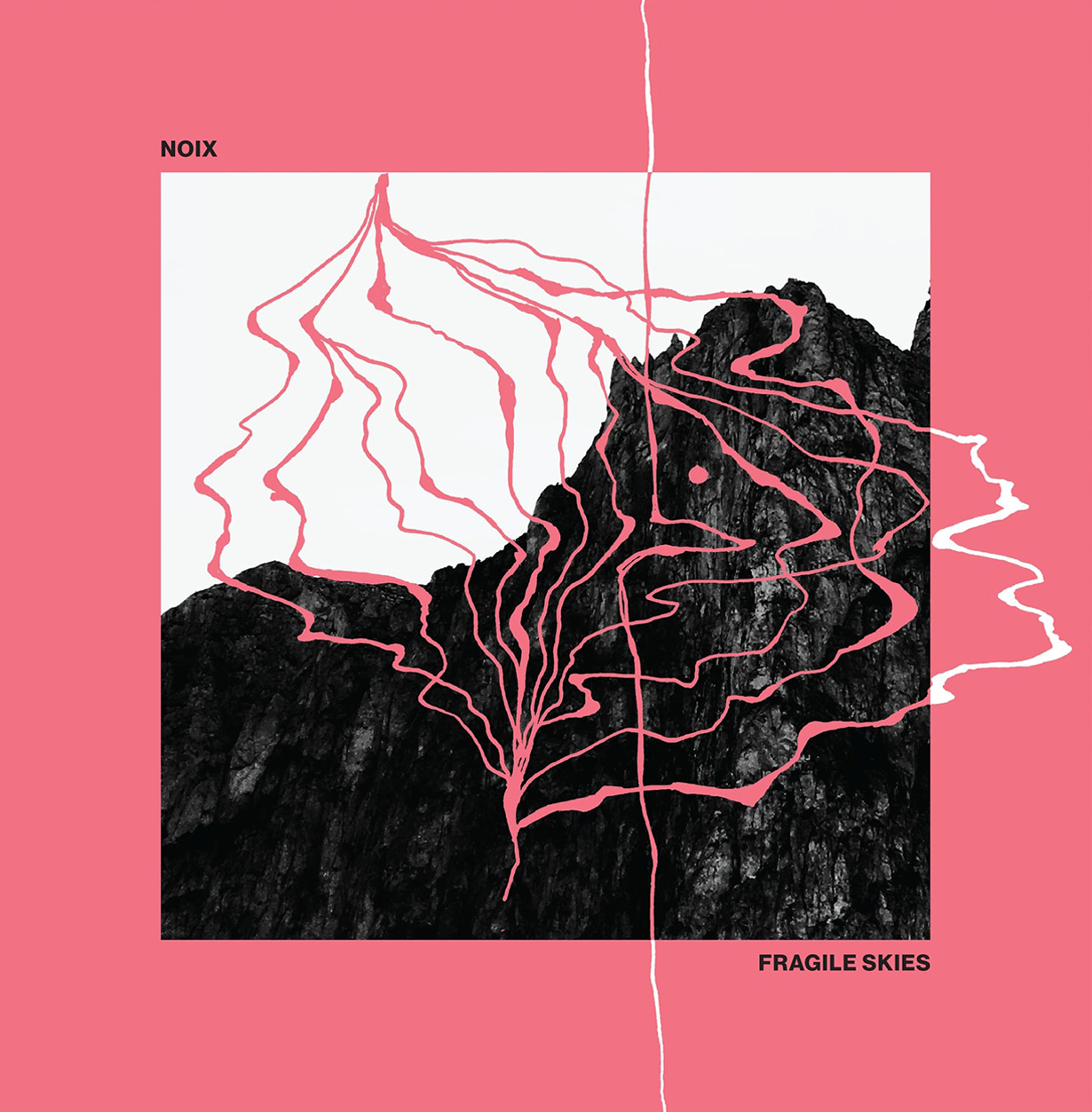 NOIX vinyl record cover artwork detail